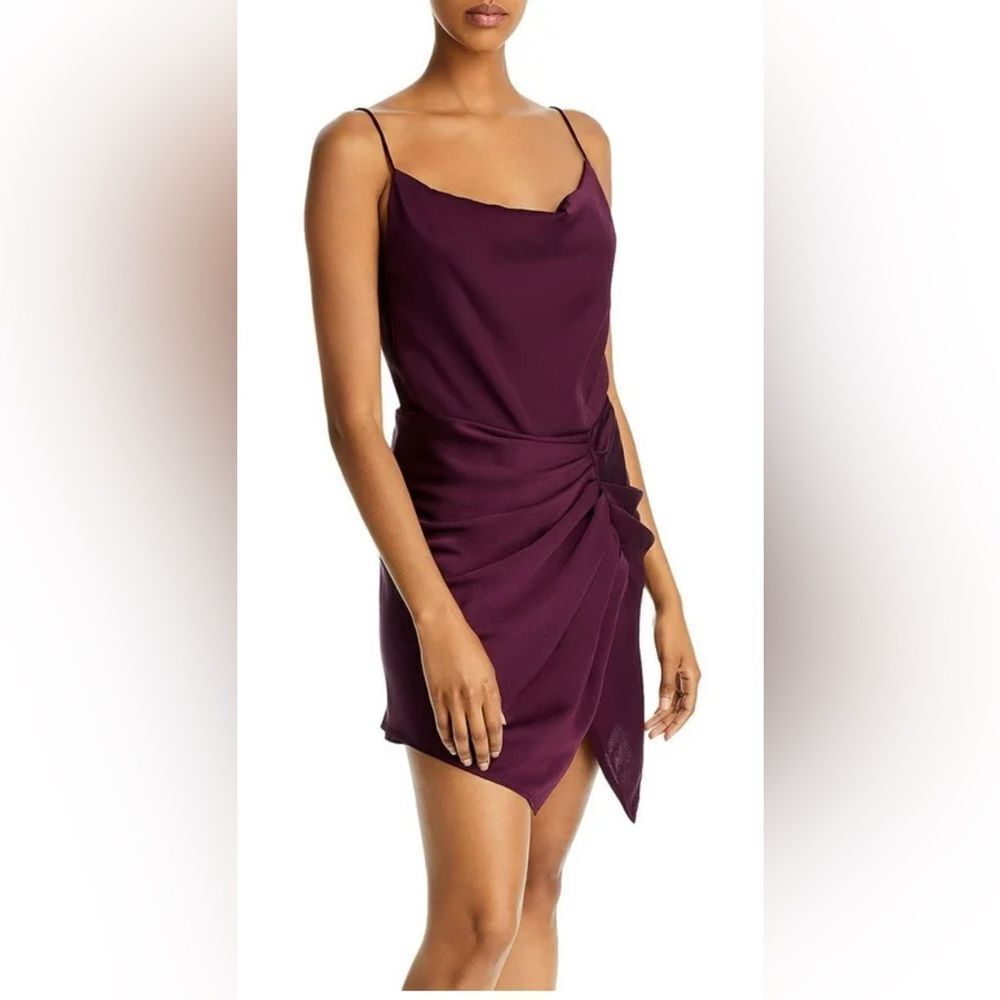 NWT IRO Paris Lipa Mini Dress Sz FR 38 / US 6) Burgundy